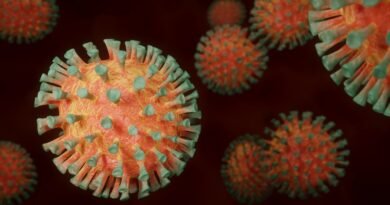 Illustration graphique du coronavirus