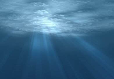 Photo d'un fond marin pour illustrer le projet SeaChange pour enfermer le CO2